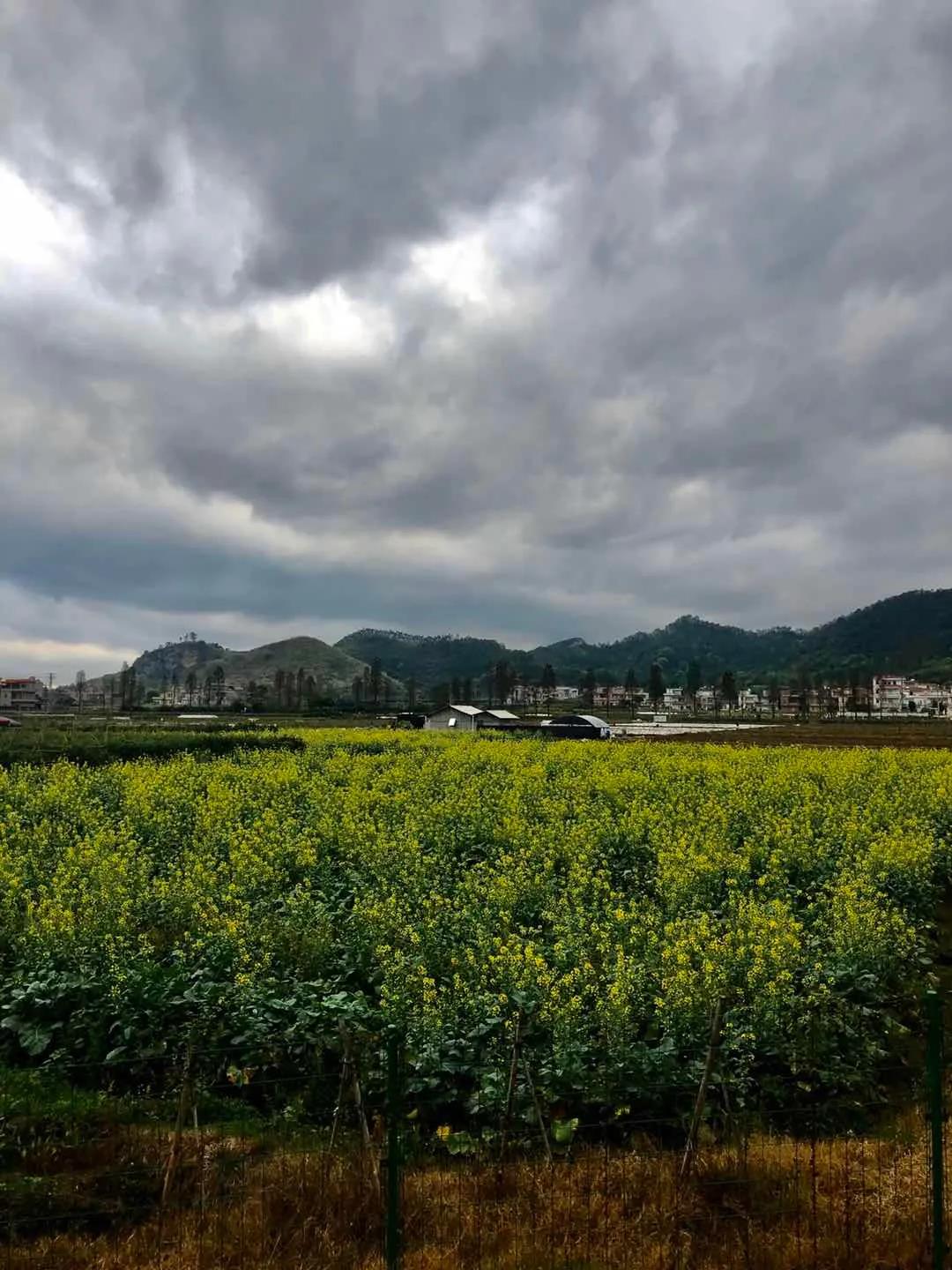 1586066232422327.jpg 1586066232422327.jpg