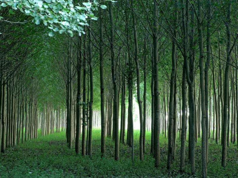 1586066535790121.jpg 1586066535790121.jpg