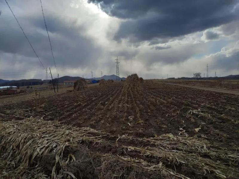 1586067018409524.jpg 1586067018409524.jpg