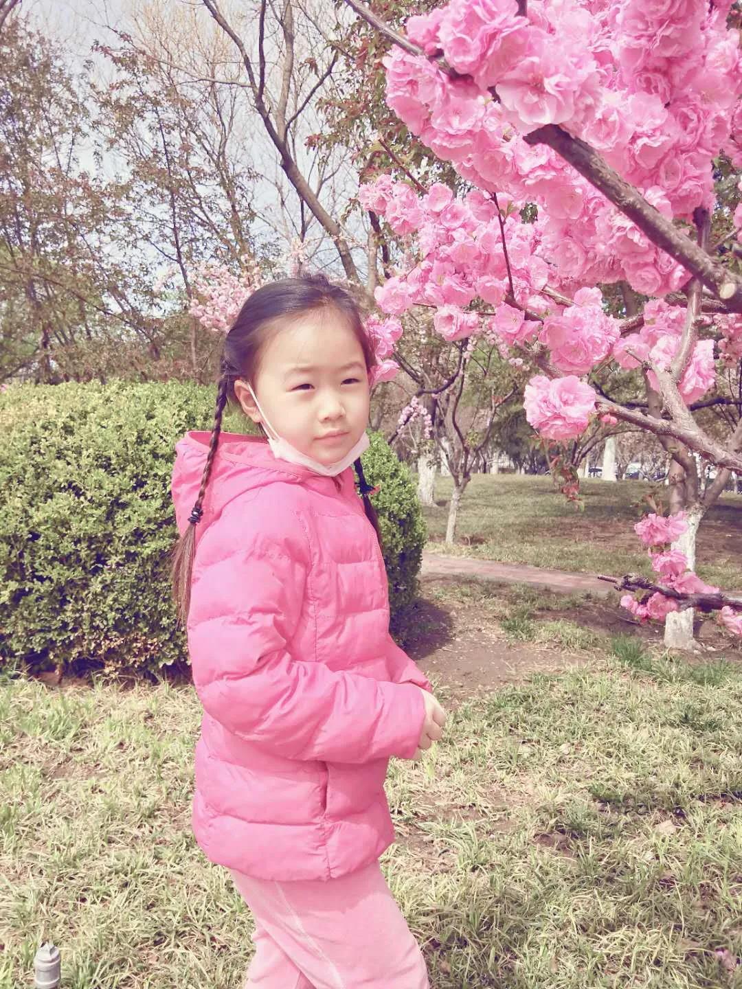 1586068680115871.jpg 1586068680115871.jpg