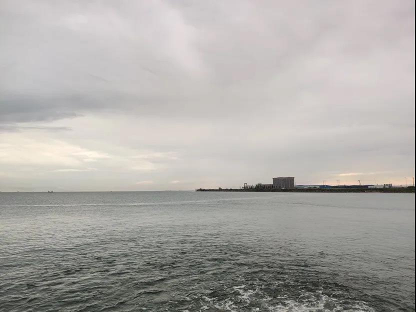 1627624945130245.jpg 1627624945130245.jpg