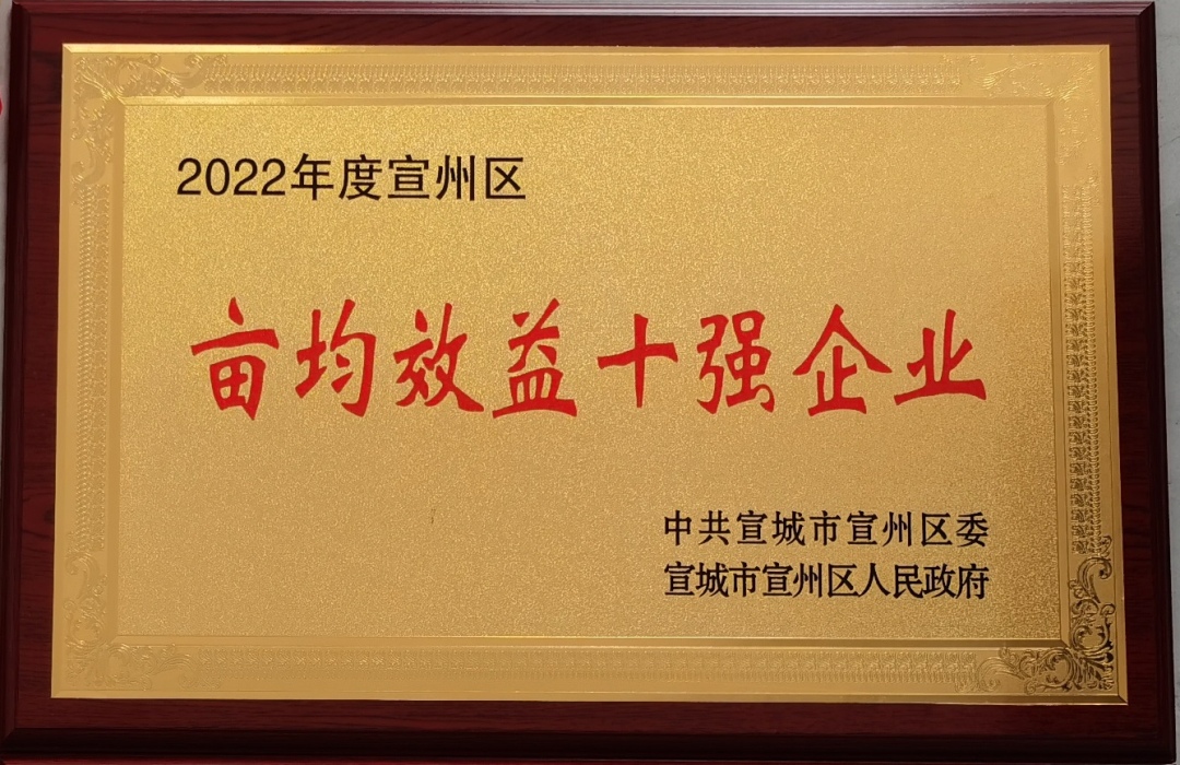 1677480123542486.png 9cffb634b49a4c0edcdc68f02bbb6c5b.png